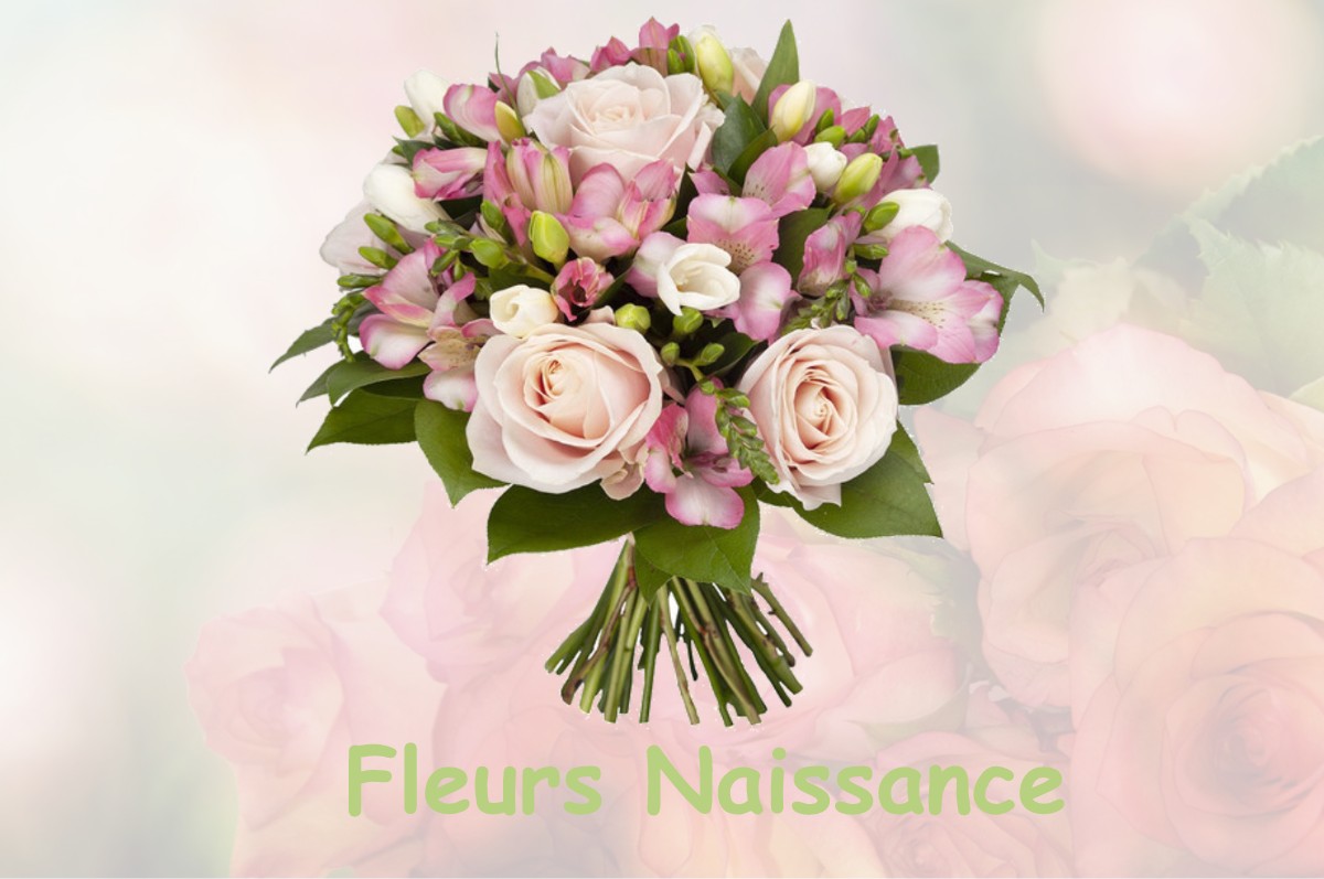 fleurs naissance LE-MESNIL-DURDENT