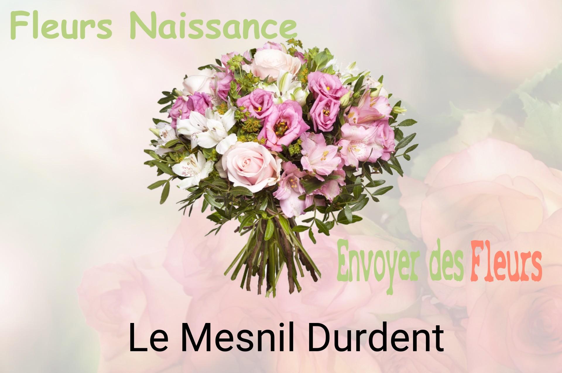 Bouquet de fleurs de naissance livré à Le Mesnil-Durdent