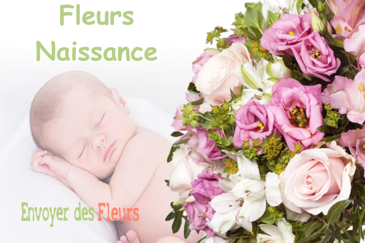 lIVRAISON FLEURS NAISSANCE à LE-MESNIL-DURDENT